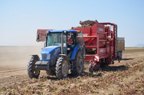 dsc_0743.jpg dsc_0743.jpg