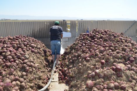 dsc_0799.jpg dsc_0799.jpg