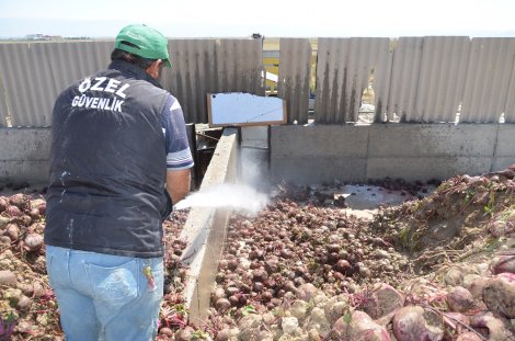 dsc_0827.jpg dsc_0827.jpg