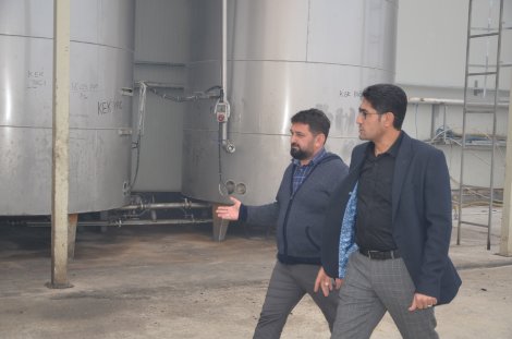 dsc_3633.jpg dsc_3633.jpg