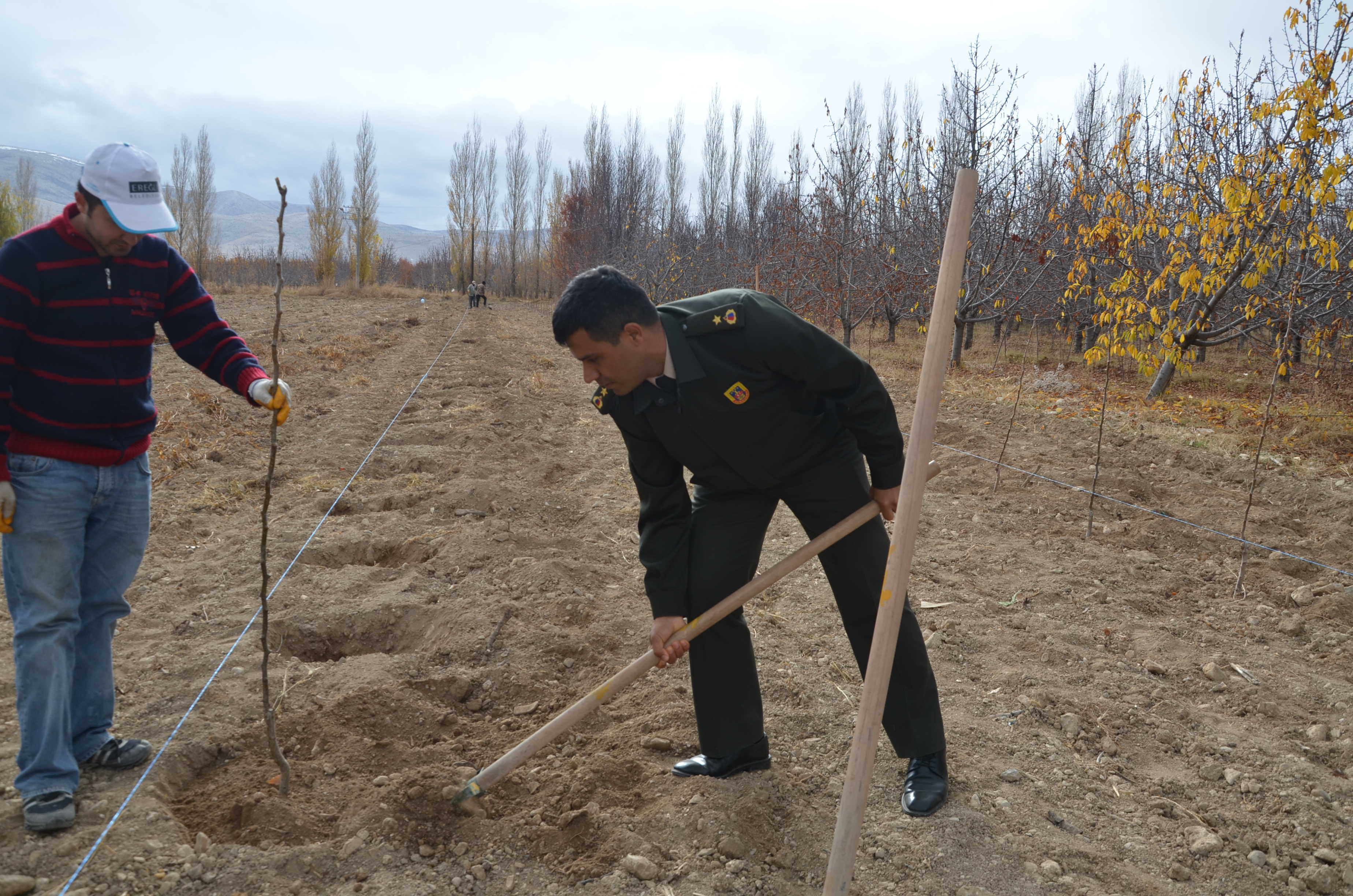 dsc_6215.jpg dsc_6215.jpg