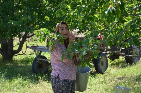 dsc_7428.jpg dsc_7428.jpg