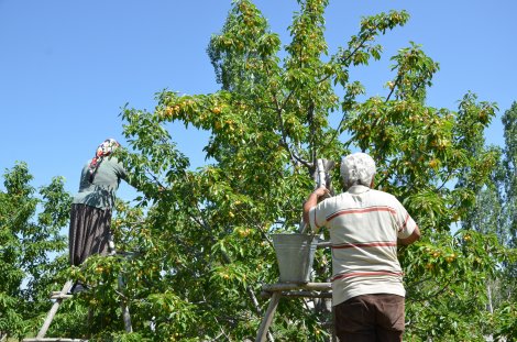 dsc_7436.jpg dsc_7436.jpg