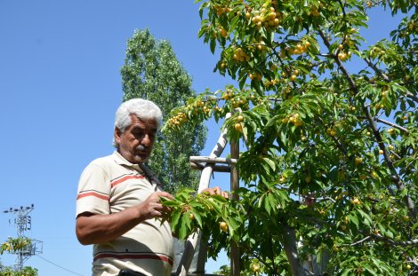 dsc_7441.jpg dsc_7441.jpg