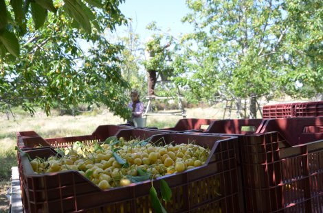 dsc_7457.jpg dsc_7457.jpg