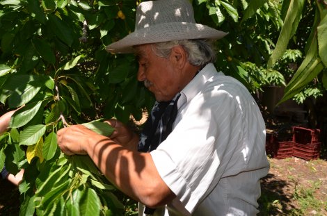 dsc_7478.jpg dsc_7478.jpg