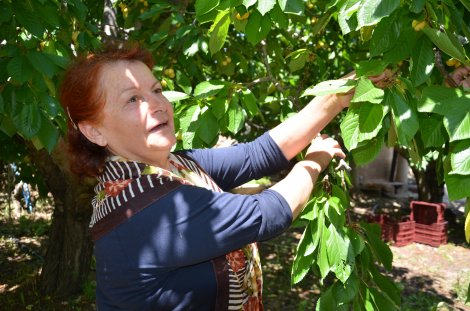 dsc_7479.jpg dsc_7479.jpg