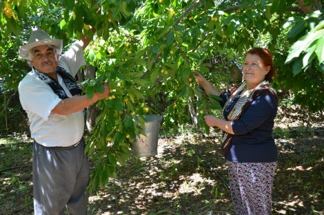 dsc_7481.jpg dsc_7481.jpg