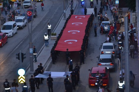 dsc_8644.jpg dsc_8644.jpg