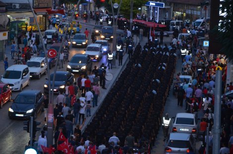 dsc_8659.jpg dsc_8659.jpg