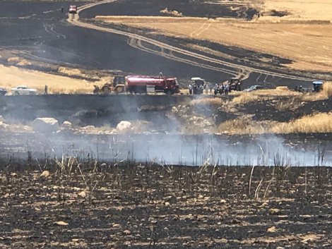 eaea21fd-22c4-4748-a66f-2c69170db8d5.jpg eaea21fd-22c4-4748-a66f-2c69170db8d5.jpg