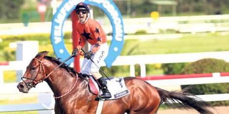 ereglide-yetisen-atlar.jpg ereglide-yetisen-atlar.jpg