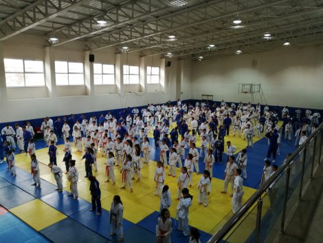 judo_4.jpg