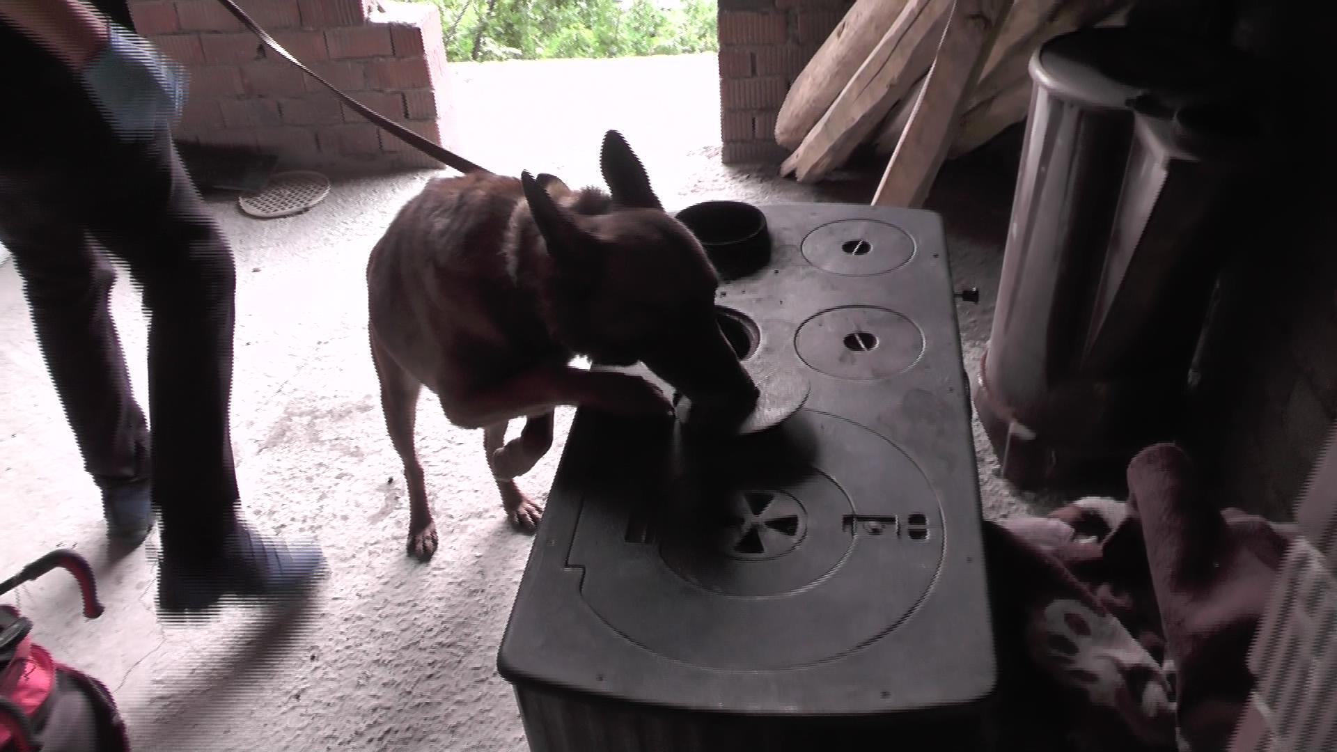 snapshot-00;02;43;07.jpg snapshot-00;02;43;07.jpg