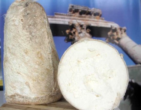 toroslardan-gelen-lezzet-deri-peyniri-12386703_o.jpg toroslardan-gelen-lezzet-deri-peyniri-12386703_o.jpg