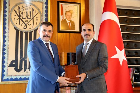 zyrt_3.jpg zyrt_3.jpg